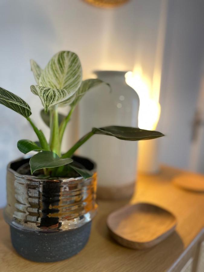 קמפר Canopee - Appartement - Hyper Centre Ville מראה חיצוני תמונה